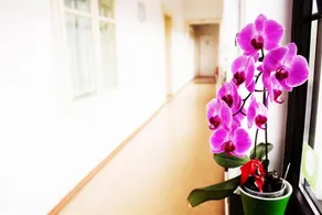 Boemia Hostel - Image 3