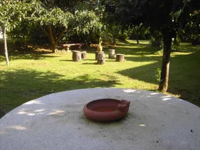 Casa de Sao João - Image 5