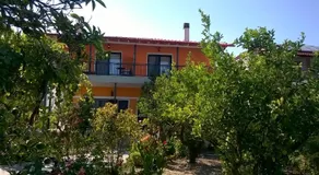 Orange Tree Garden - Image 3