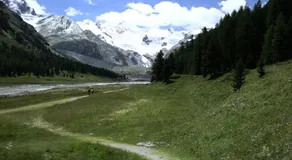 Palüdetta 8 - Image 2