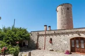 SON MOLL - Image 2
