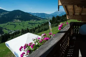 Apartment Grammlergut - Image 5