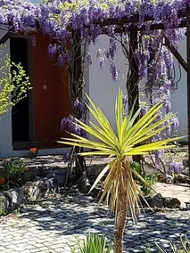 Casa Oliviera - Image 2
