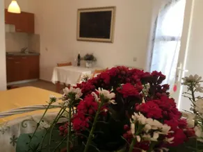 Villa Nena Tkon - Image 2