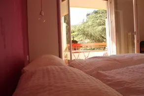 Cedrus Suite - Image 4