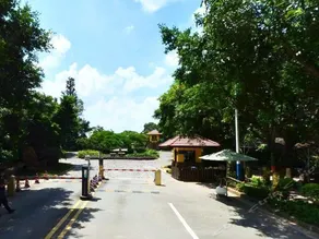 Palm Island - Image 2