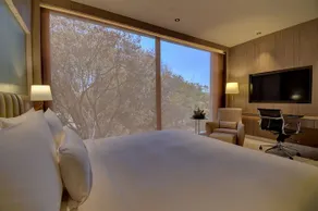 The Solitaire Hotel - Image 4