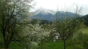 Coasta cu Izvoare - Image 5