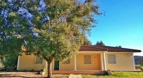 Villa Eucalipti - Image 2