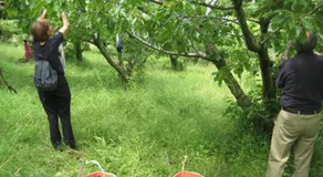 Villa Bea - Image 2
