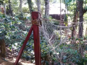 Leisure Vacations Alpinia Resort Coorg - Image 4