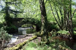 Weir Cottage - Image 5