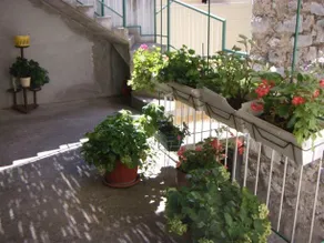 Apartmani Varos Sibenik - Image 2