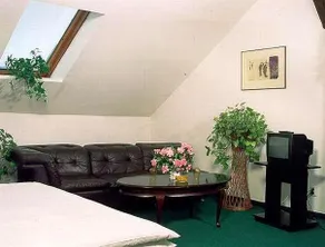 Cesky Dum - Image 4