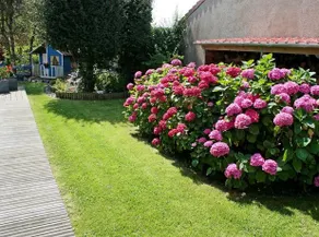 Les Flots Les Alizes - Image 4