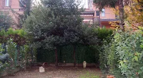 Relais Massarenti - Image 4