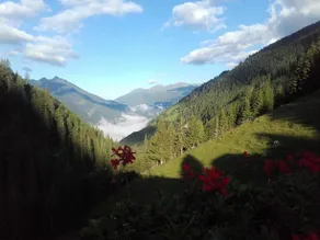 Stranighütte - Image 3