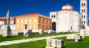 Tinel B&B Premium Edition - Image 2