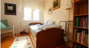 Visnja - Image 5