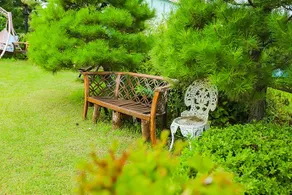 Pyeongchang Beautiful Pension - Image 5