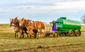 Harvest Drive Family Inn Intercourse - Amish Country - Image 3