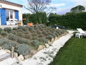 Les Tourterelles - Image 3