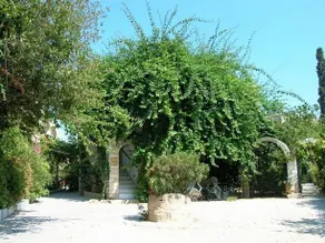 Nafsika - Image 2