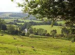 Netherby House Hotel - Image 3