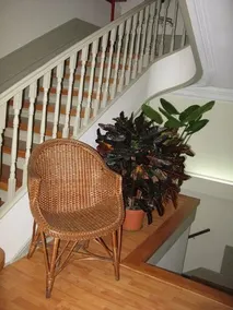 Guest House 31 De Janeiro - Image 4