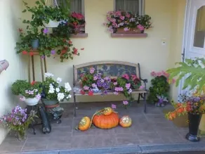 Chez Joséphine - Image 4
