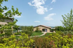 Il Picchio Verde - Image 2