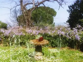 Il Giardino e la Dimora - Image 3