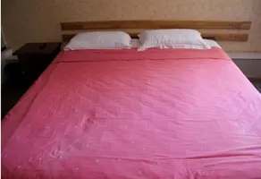 Gaotang Jiujiu Hotel - Image 3