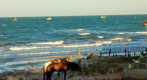 Pousada Chale Paraiso - Image 5
