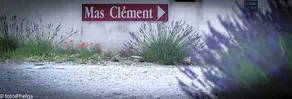 Mas Clement - Chambre d'hôtes - Image 3