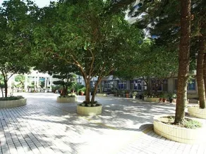 Panjiang - Image 4
