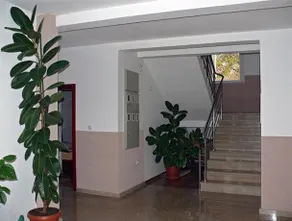 Guest House Zec - Image 2