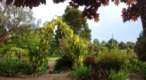 Altona Garden Retreat - Image 2