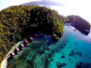 Doberai Private Island - Image 5