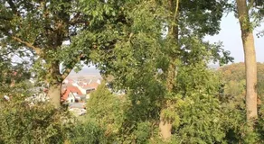 Villa Recknitztal Marlow - Image 5