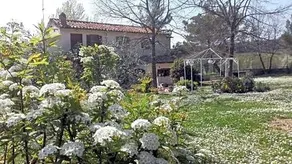 Bed And Breakfast Casale Isorella - Image 5