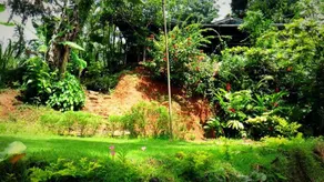 Haniffas Holiday Inn - Image 4