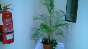 Hotel Copacabana - Image 4
