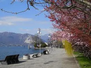 La Fata Morgana - Image 5
