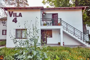 VILELE LILIACUL - Image 2