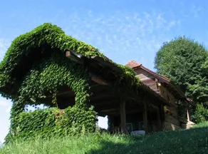 Bauernhof Gaisrieglhof - Image 3