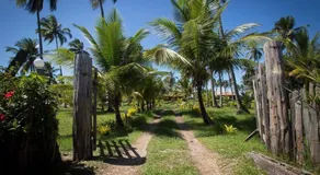 Casa de Praia Mico Leao - Image 3