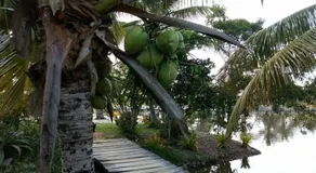 Residencial Lagoa Da Praia - Image 5