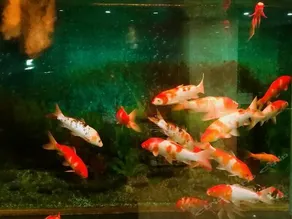 Ningmeng Hotel Yinchuan - Image 5