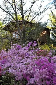 Parco Botanico Fiorlago - Image 4